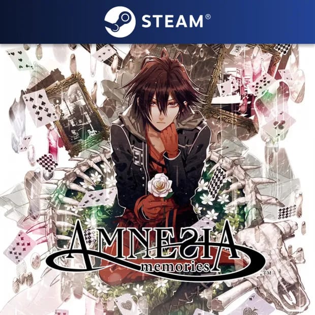 Amnesia: Memories — обложка игры