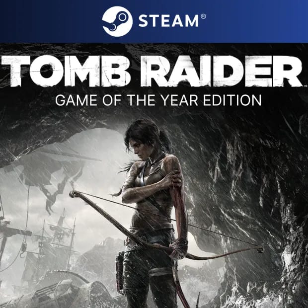 Tomb Raider — обложка игры
